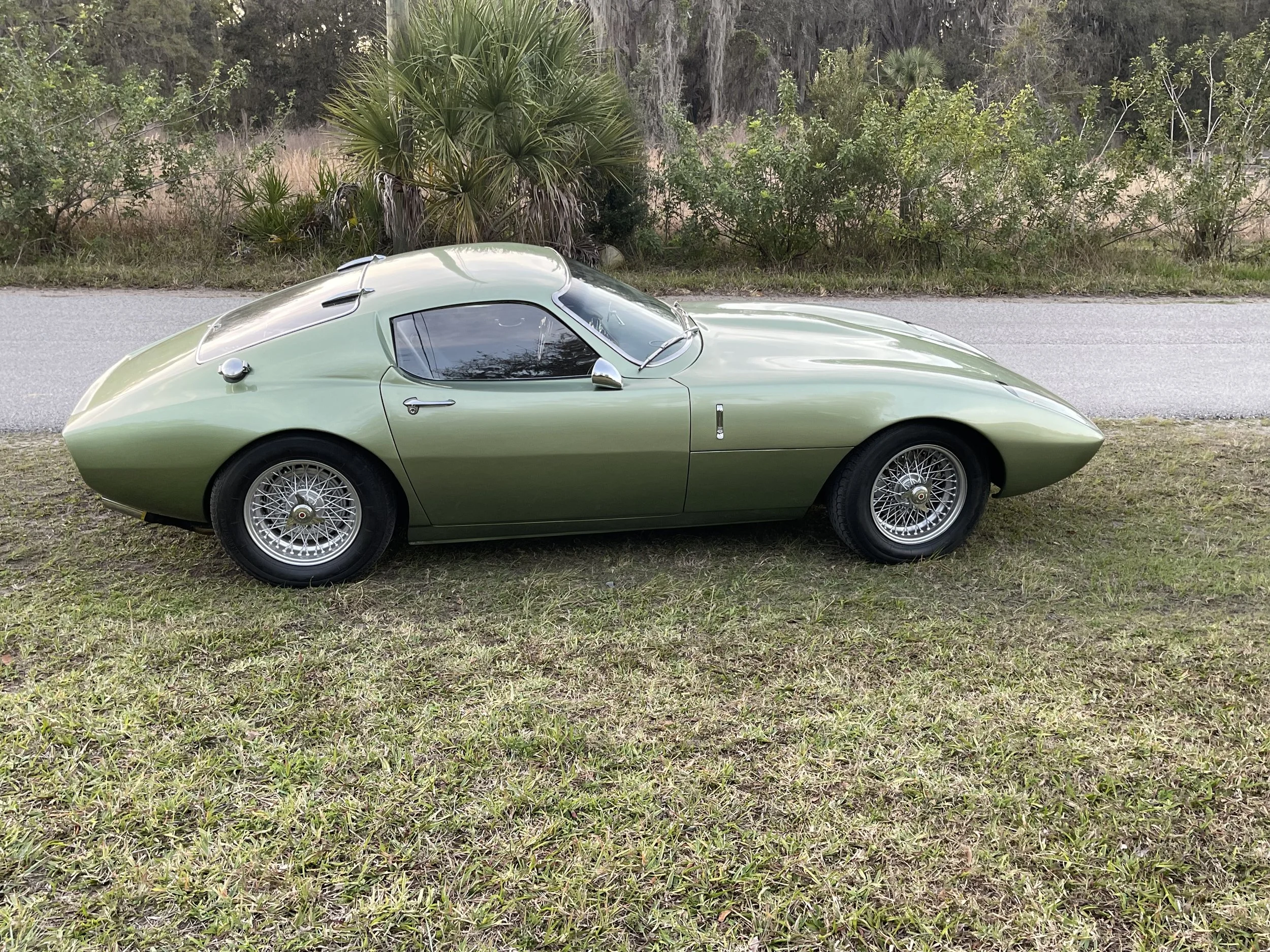 Austin Healy Coupe for sale in Land O Lakes FL | American Fiberfab